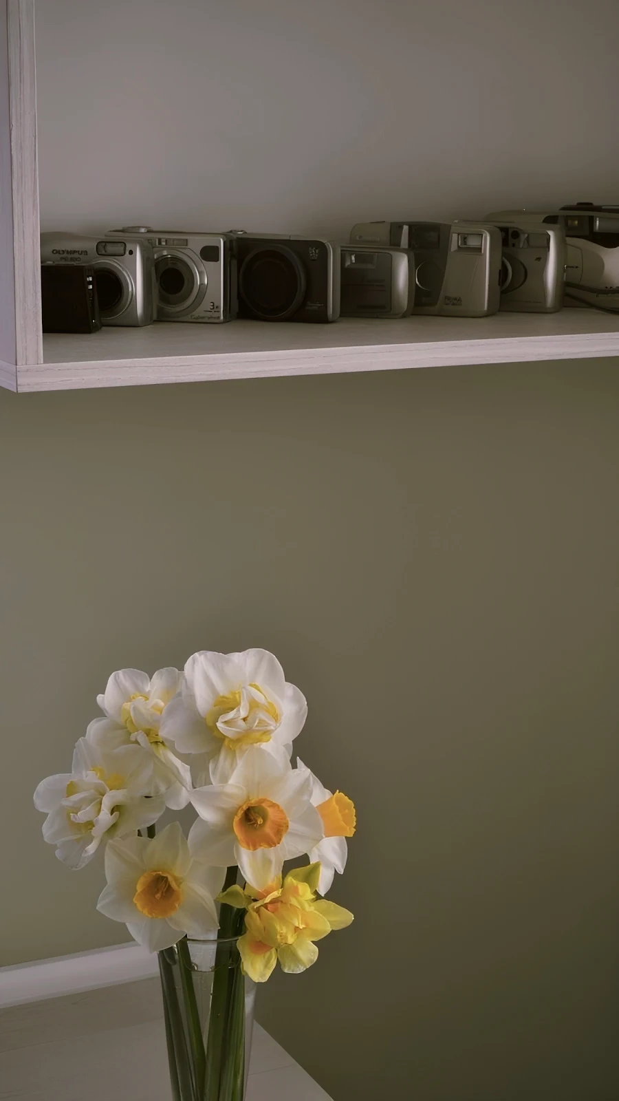 Daffodils Under Vintage Camera Shelf - Still Life Photography Full HD iPhone Wallpaper (1287x2288)