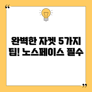 노스페이스베이든자켓, 아우터 선택, 겨울 자켓, 노스페이스 리뷰, 자켓 구매 가이드