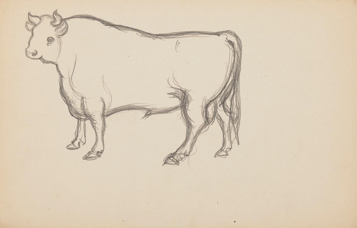 Études danimaux de paysages et de modèles