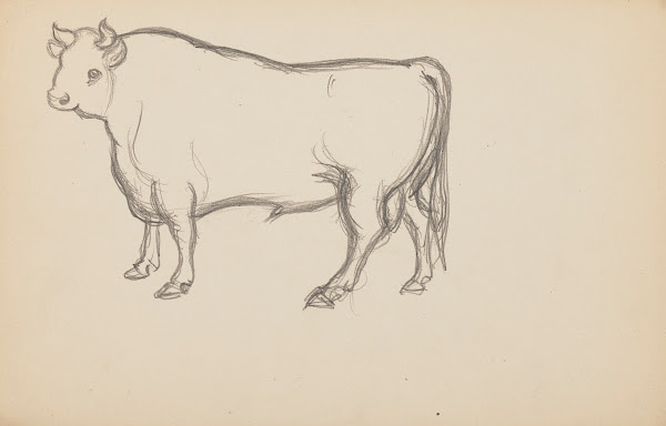 Études danimaux de paysages et de modèles