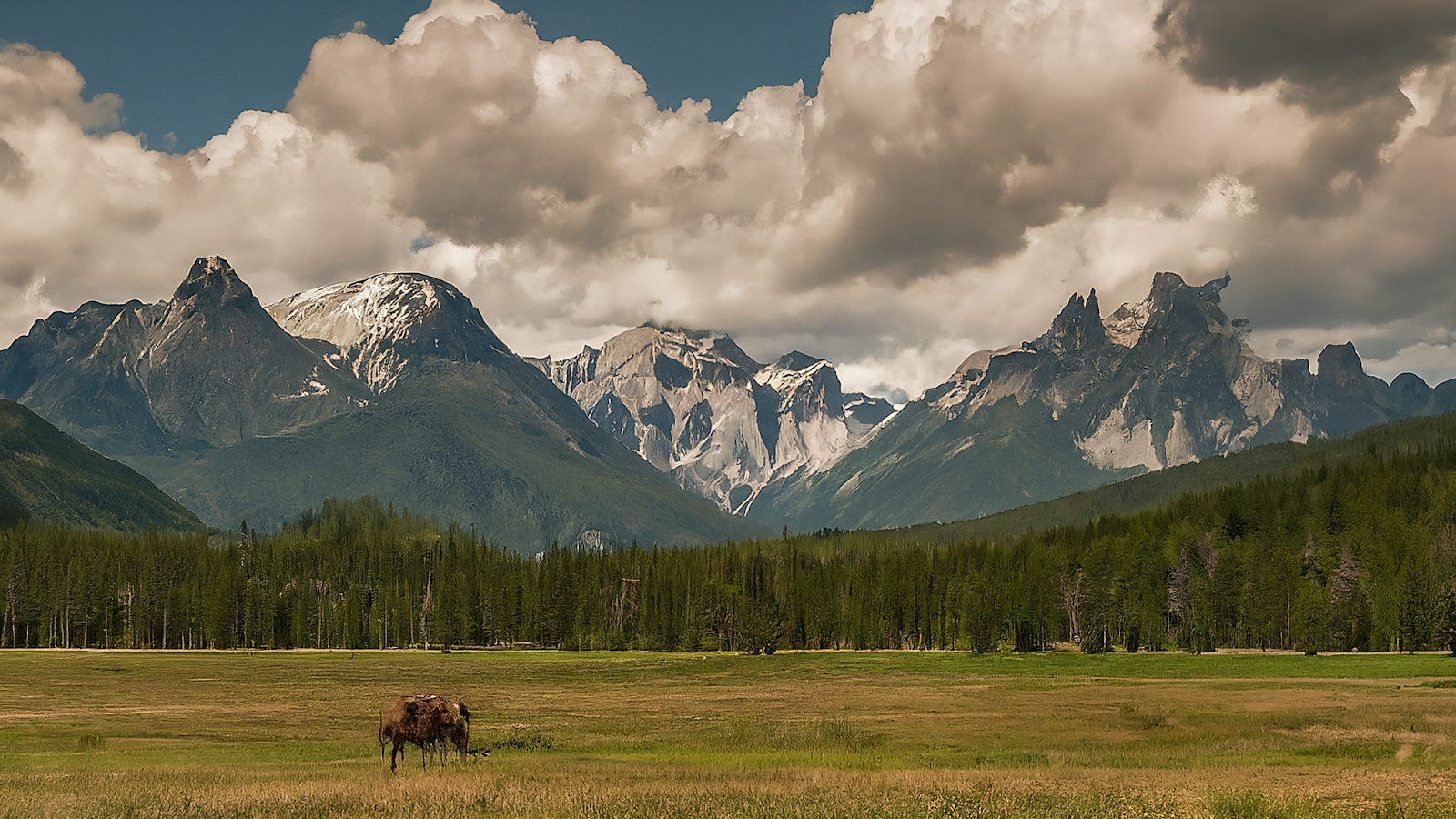 AI 생성 이미지: 대규모 분산 트랜잭션 관리를 위한 설계 패턴과 운영 사례