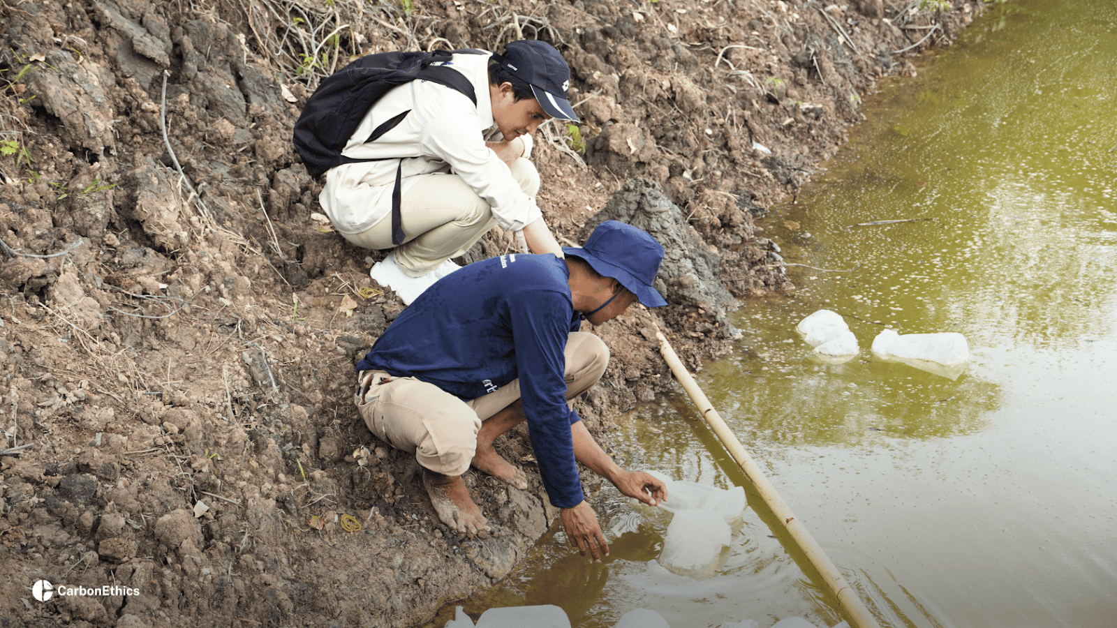 Checking process and quality of vannamei shrimp post-larvae by Bimo Soewadji, CEO of CarbonEthics