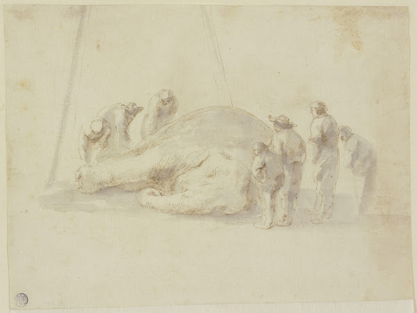 Toter Elefant und sieben Betrachter 1655