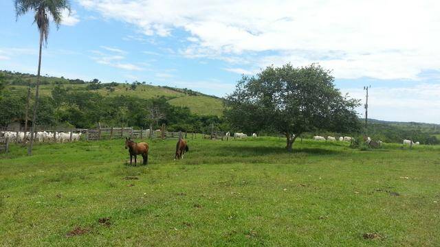 Fazenda em Ipameri-GO 3