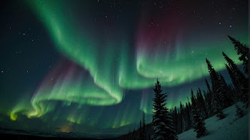 Northern Lights Wallpaper