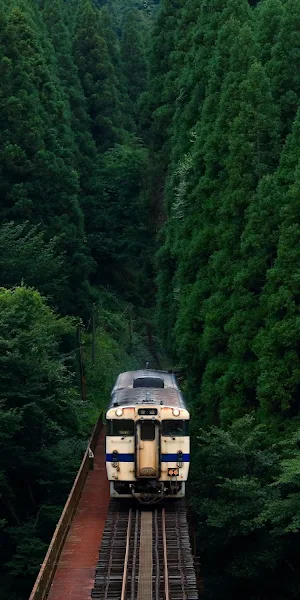 Train, Forest, Scenery, Railroad 5K Wallpaper Background