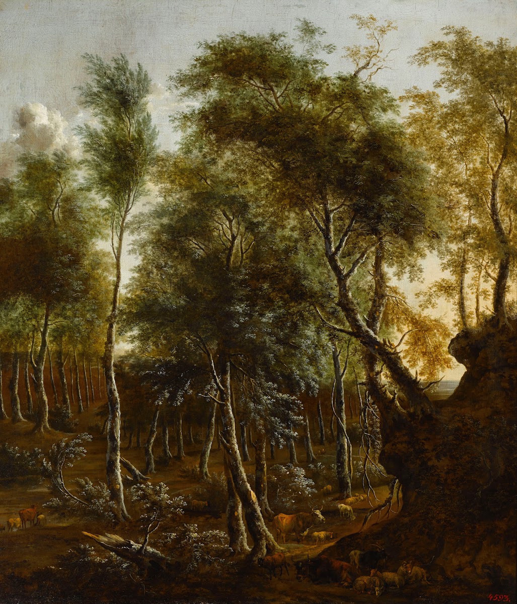 Forest landscape c 1660 1670