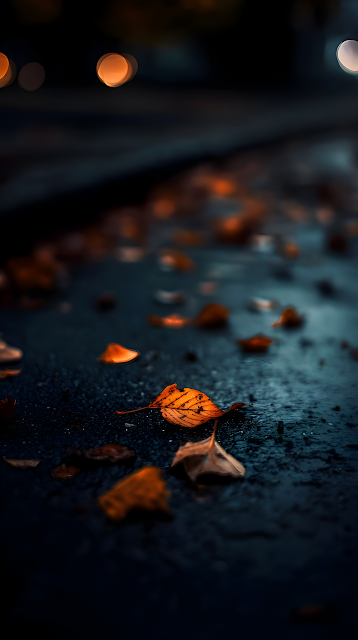 Moody Autumn Leaf on Wet Asphalt with Bokeh Lights - Free mobile Wallpaper