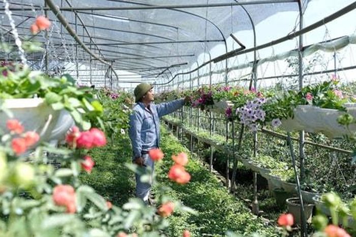 Đô thị hóa và yêu cầu tái cấu trúc nông nghiệp Thủ đô - Báo Hà Nội Mới