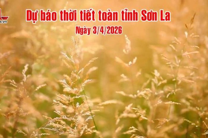 Dự báo thời tiết toàn tỉnh Sơn La ngày 3/4/2026 - Báo Sơn La