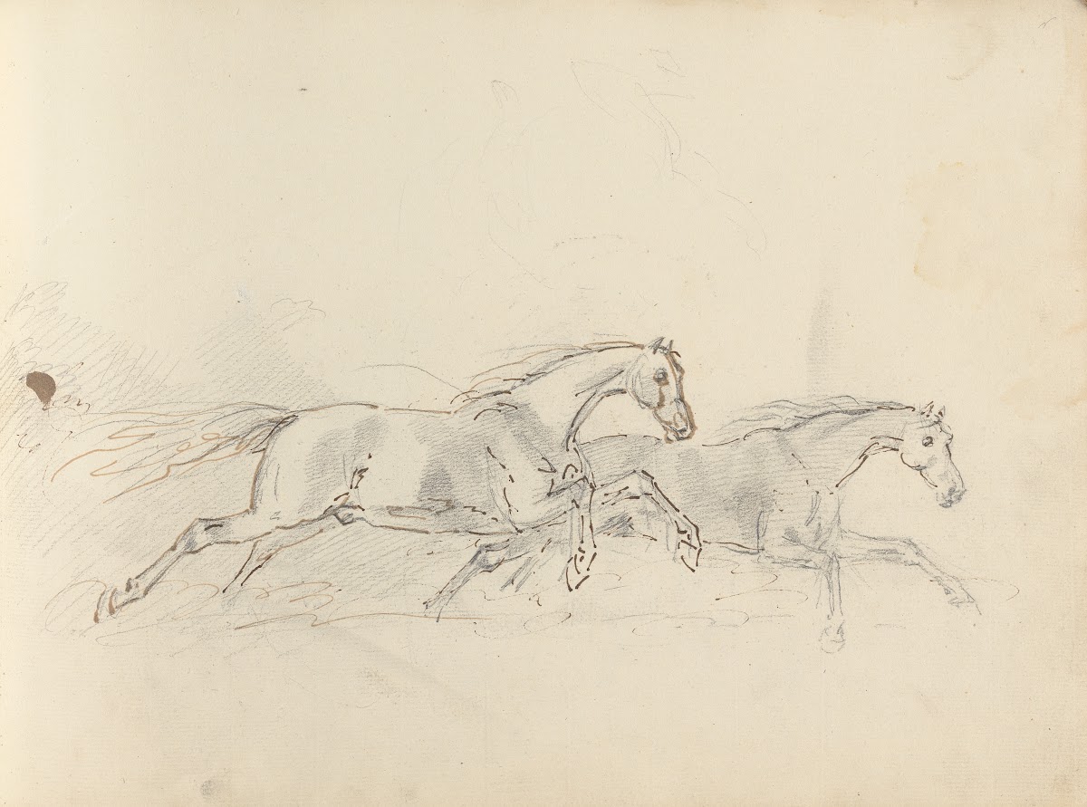 Fourty three Studies of Horses and Riders Pl37 1787