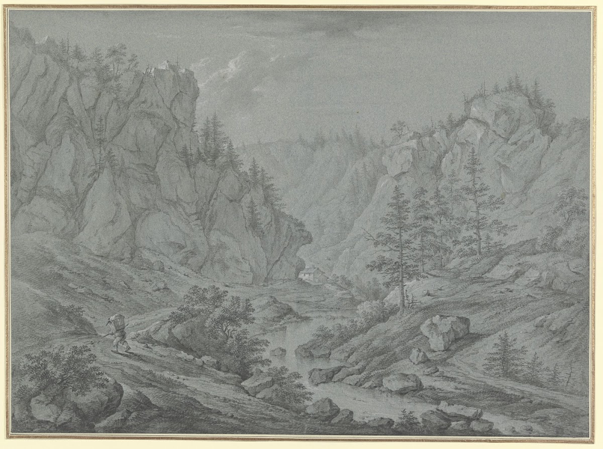 Felsiges Tal mit hohen Tannen Martinet de Roches