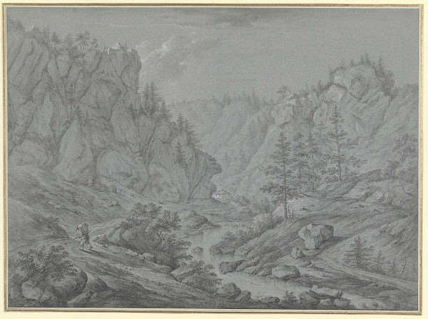 Felsiges Tal mit hohen Tannen Martinet de Roches