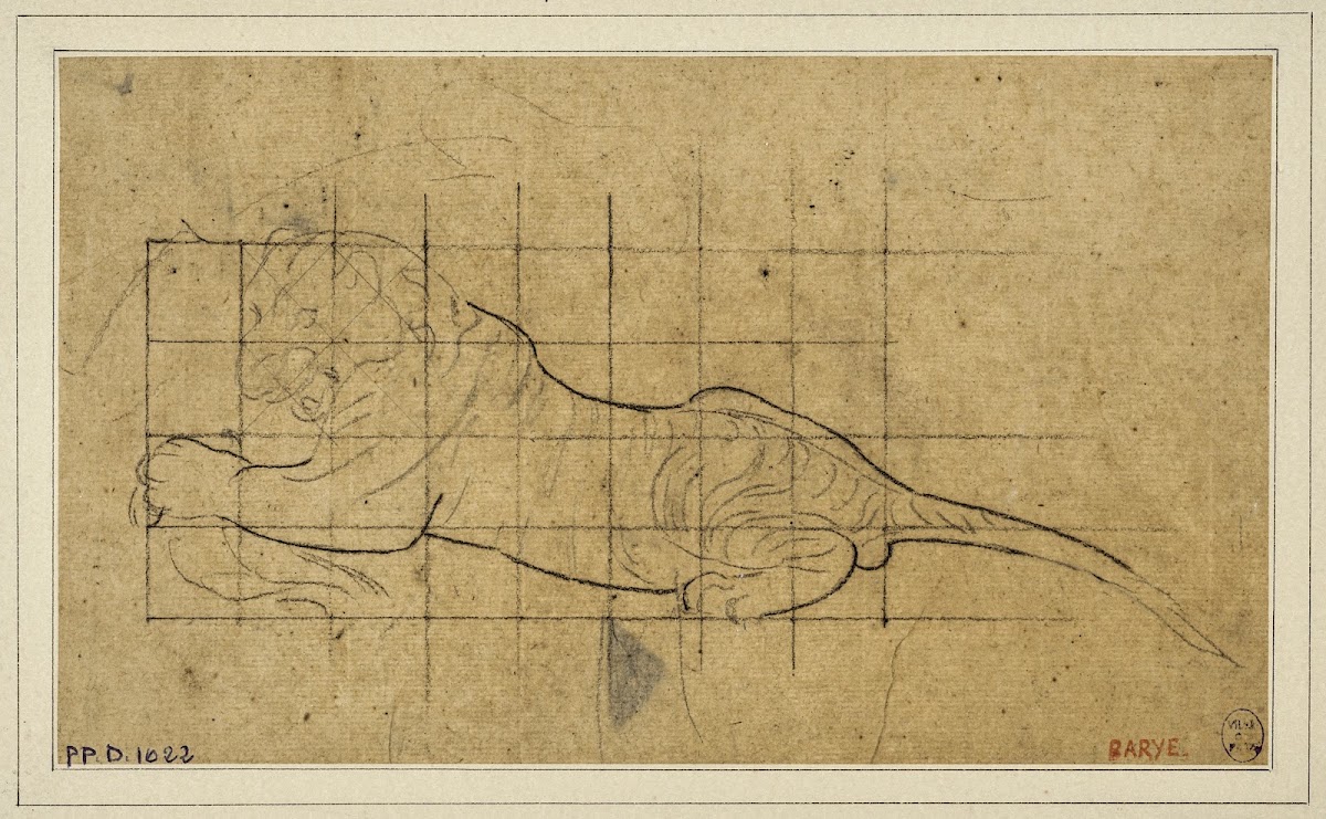 Tigre couché à gauche 19th century