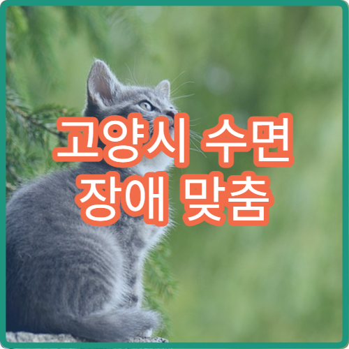 고양시 수면 장애 맞춤 검사와 치료를 할 수 있는 병원 추천