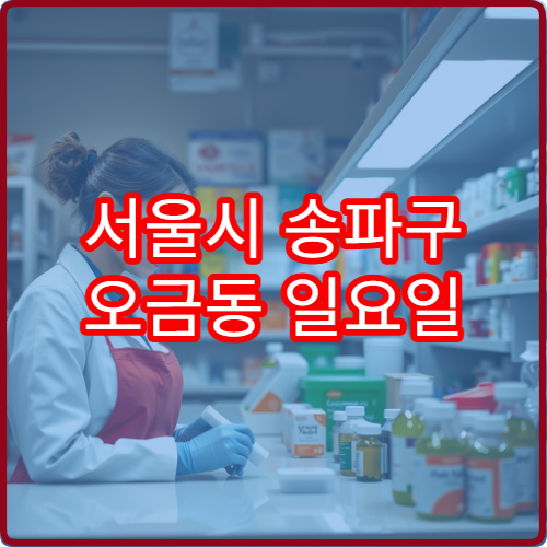 서울시 송파구 오금동 일요일 당번약국 주말에도 이용 가능한 약국