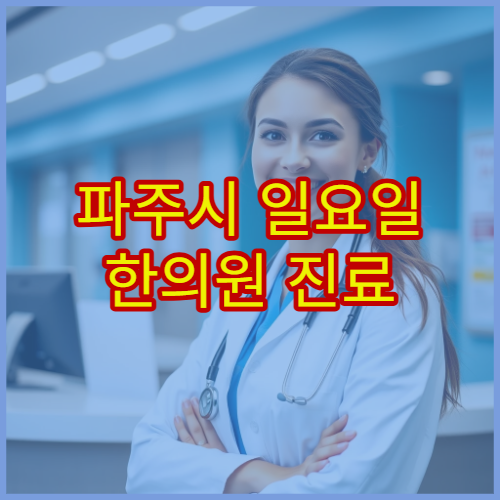 파주시 일요일 한의원 진료 병원 교통사고 후유증 치료 가능