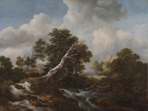 Low Waterfall in a Wooded Landscape with a Dead Beech Tree c 166070