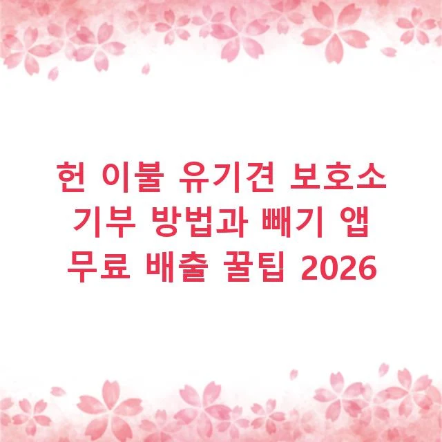 헌 이불 유기견 보호소 기부 방법과 빼기 앱 무료 배출 꿀팁 2026