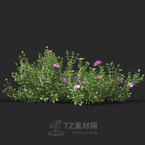 Maxtree - Plant Models Vol.60