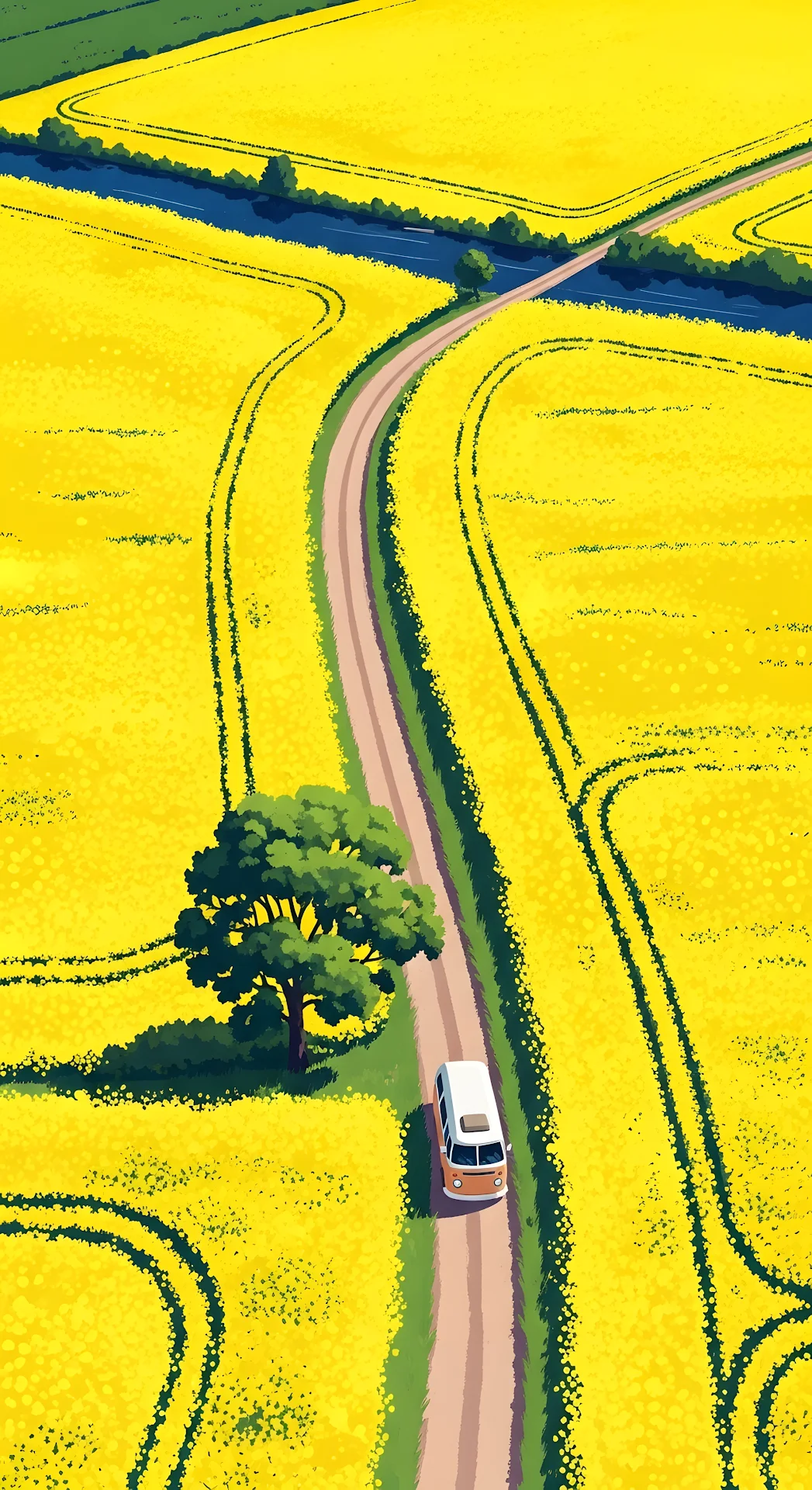 Aerial View Van Driving Through Vibrant Yellow Canola Fields - Free 4K mobile Wallpaper