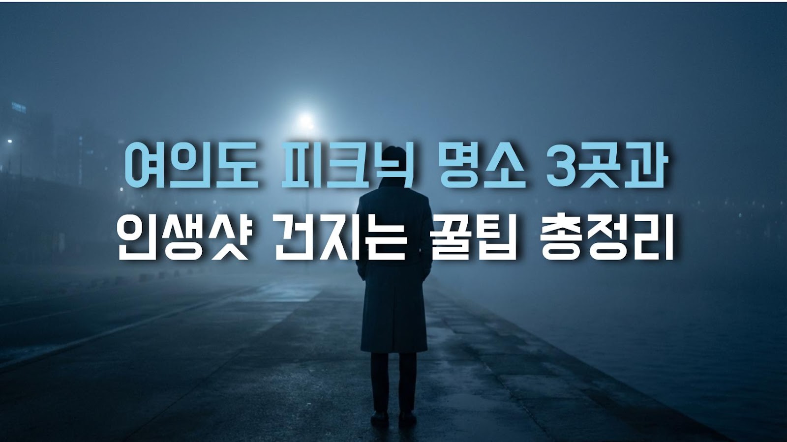 여의도 피크닉 명소 3곳과 인생샷 건지는 꿀팁 총정리