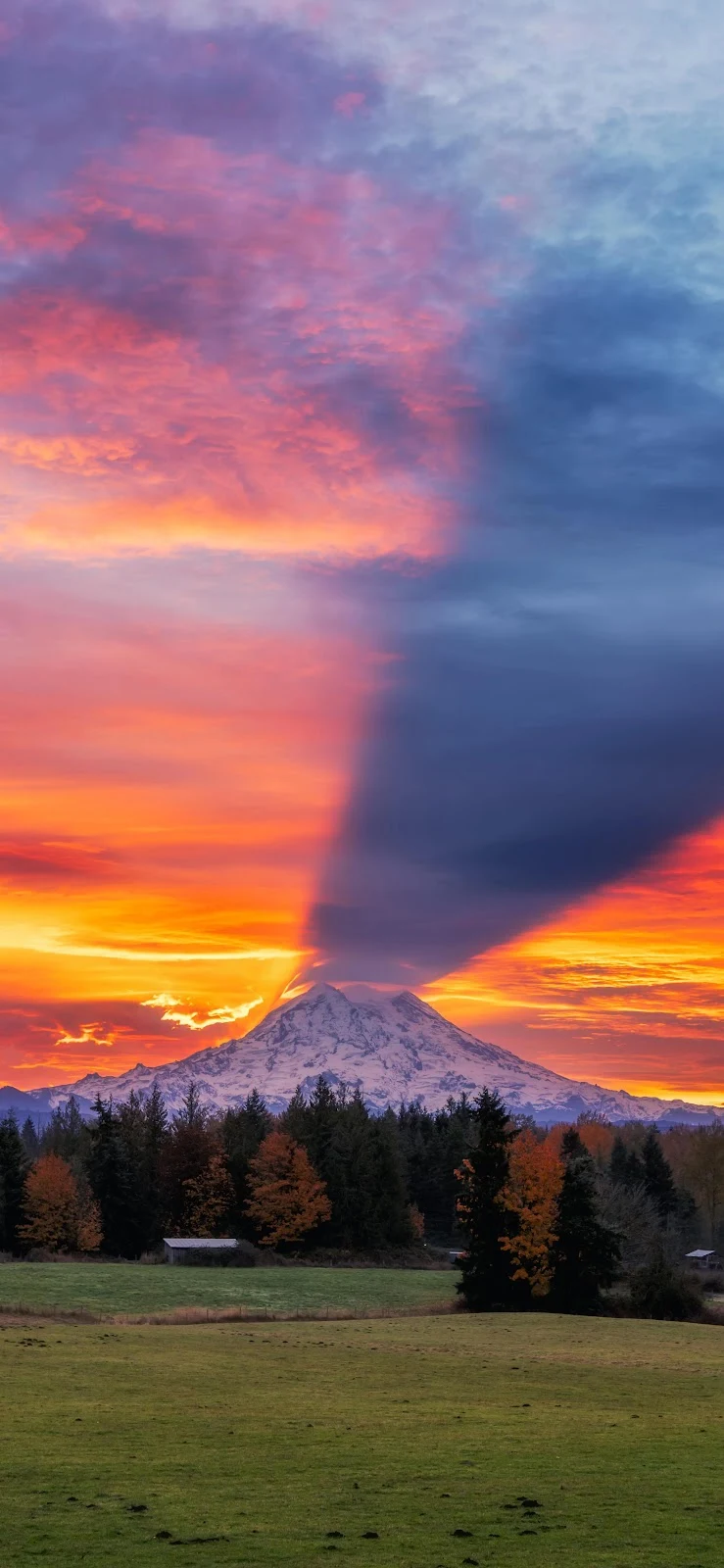 Mount Rainier Sunrise Cloud Shadow - Nature Photography 5K iPhone Wallpaper (3424x7418)