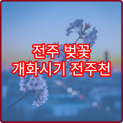 전주 벚꽃 개화시기 전주천 벚꽃 언제 필까