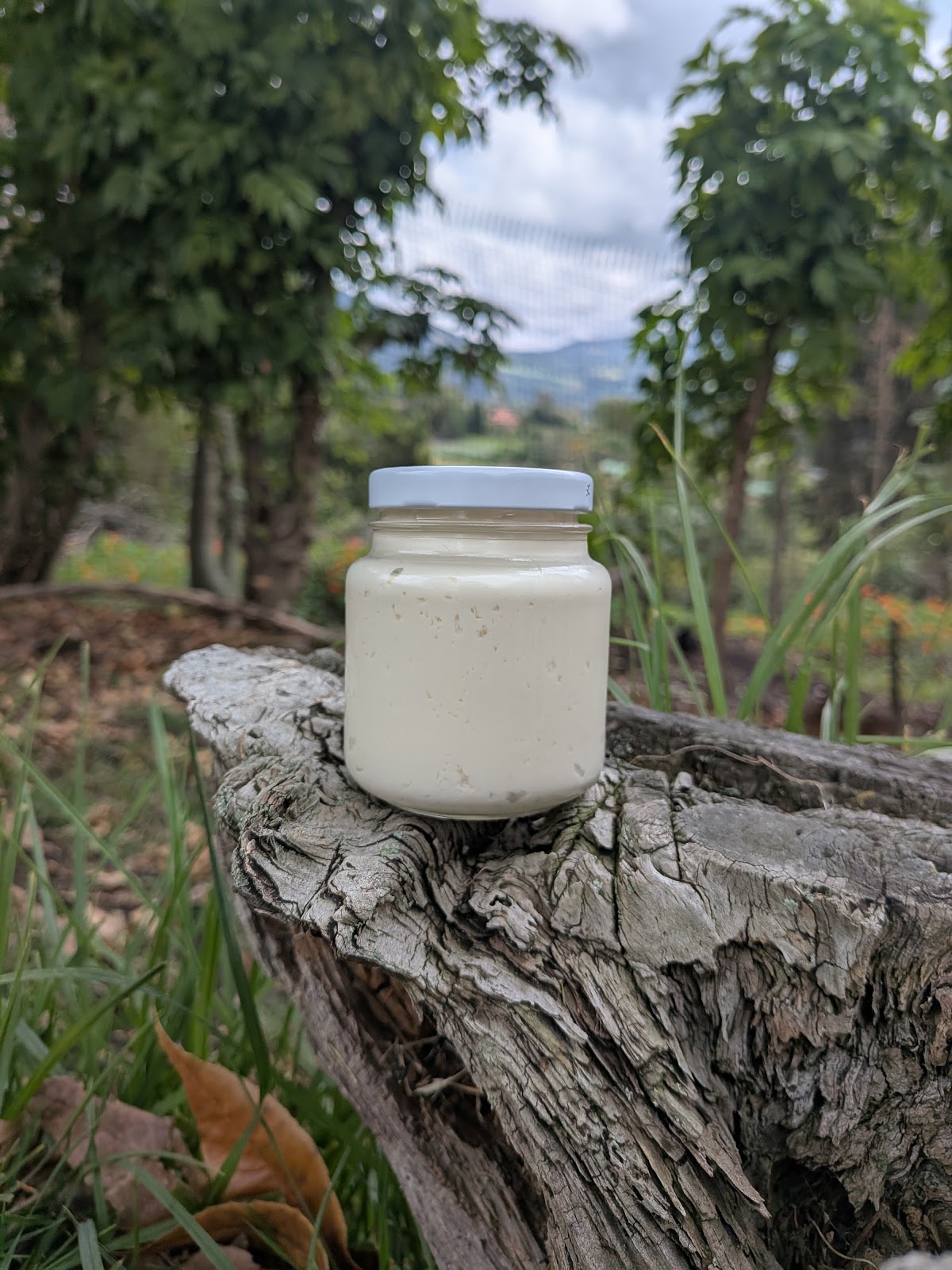 Comprar Queso Ricotta orgánico