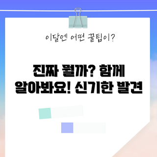 ajpsm09556, 향후 트렌드, 관련 자료, 분야 전문가, 기술 초보