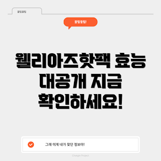 웰리아즈핫팩 효능, 웰리아즈핫팩 효과, 어떻게 웰리아즈핫팩을 사용하나요, 웰리아즈핫팩 추천, 왜 웰리아즈핫팩이 필요한가