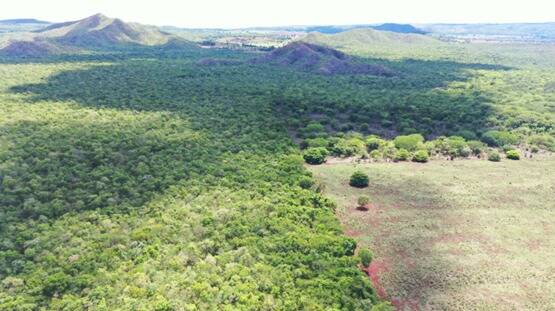 Fazenda em Montes Claros de Goiás - GO 6
