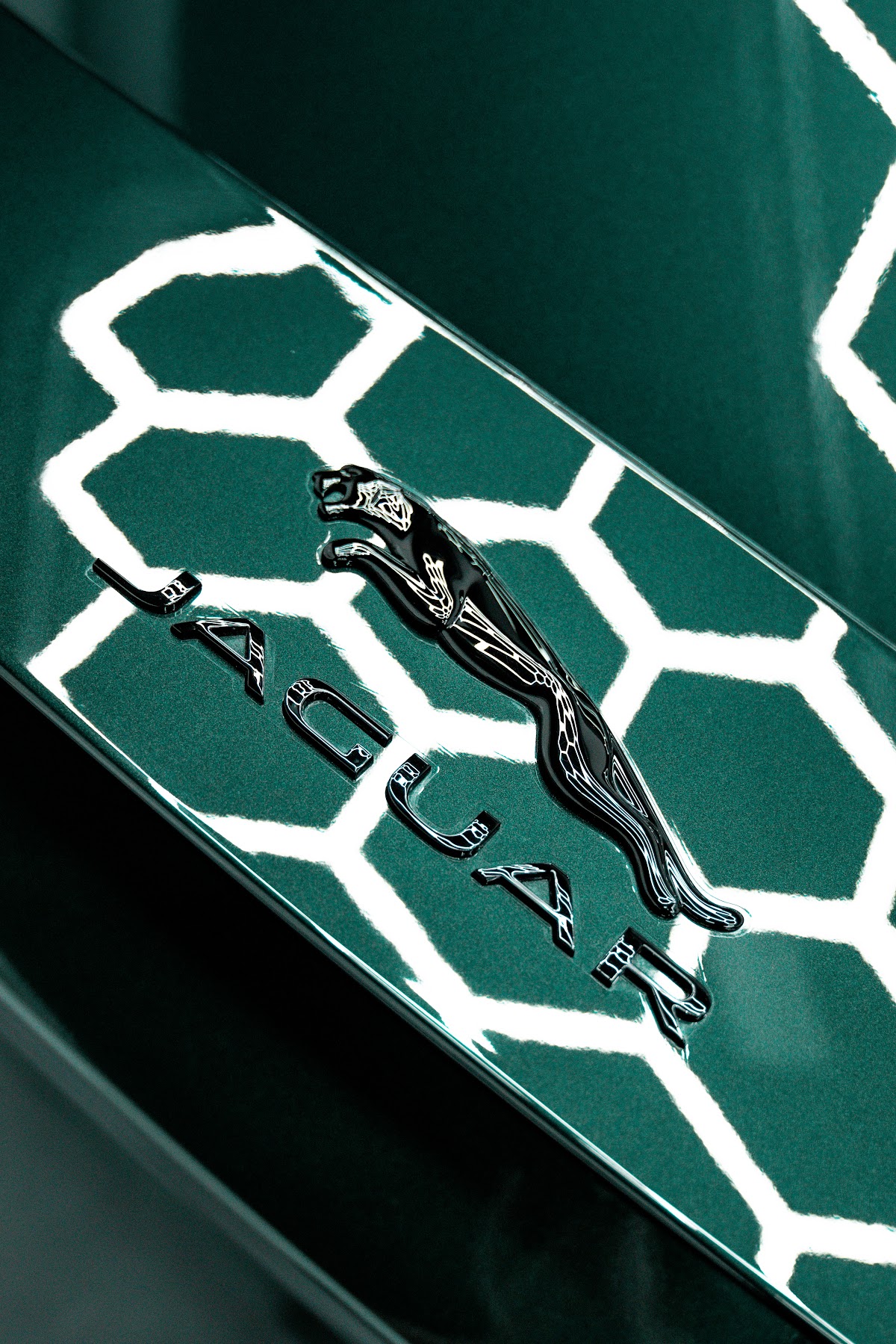 Jaguar leaping cat fender emblem after paint correction at ZAutoCare