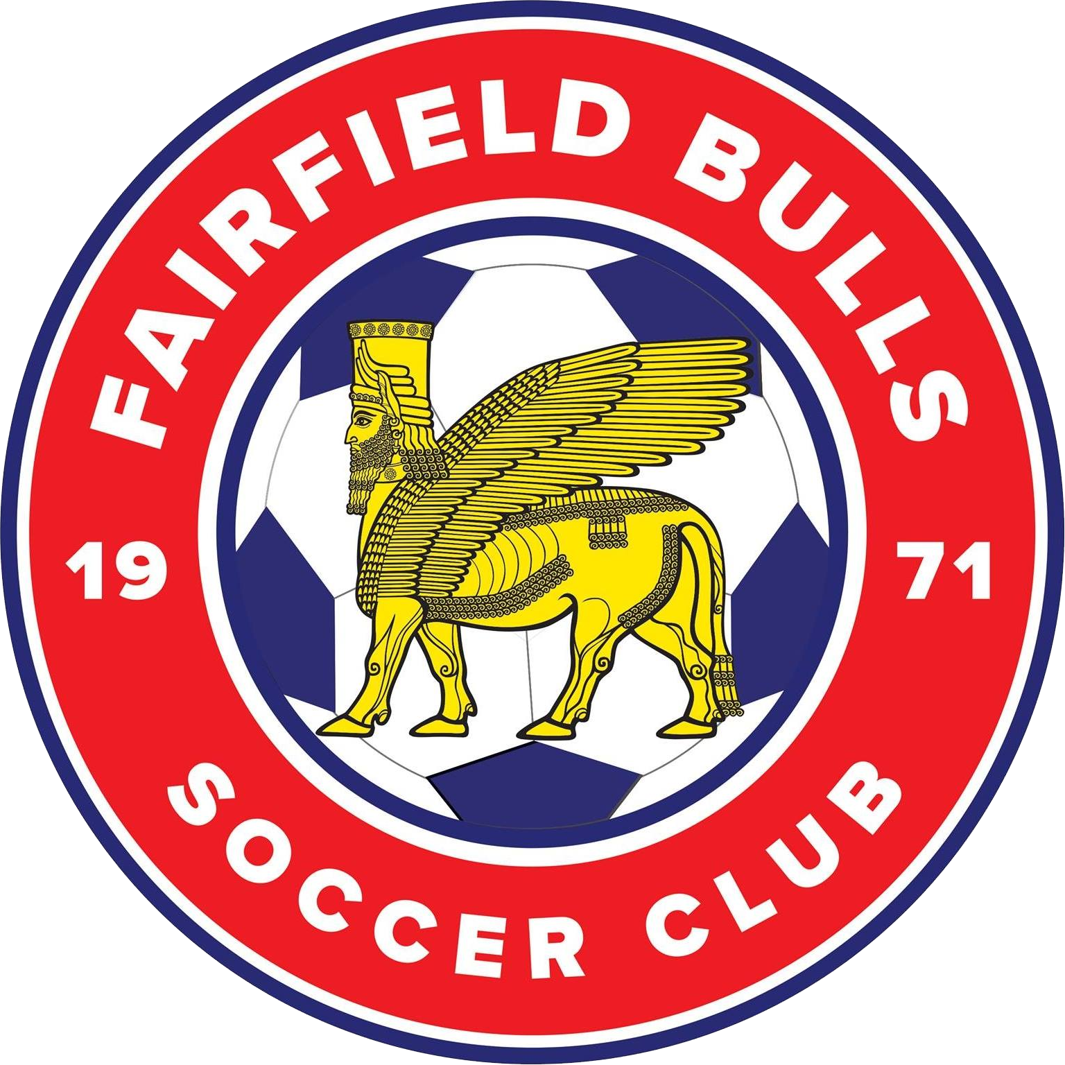 Fairfield Bulls logo
