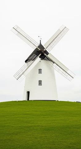 Historic Dutch Windmill Field