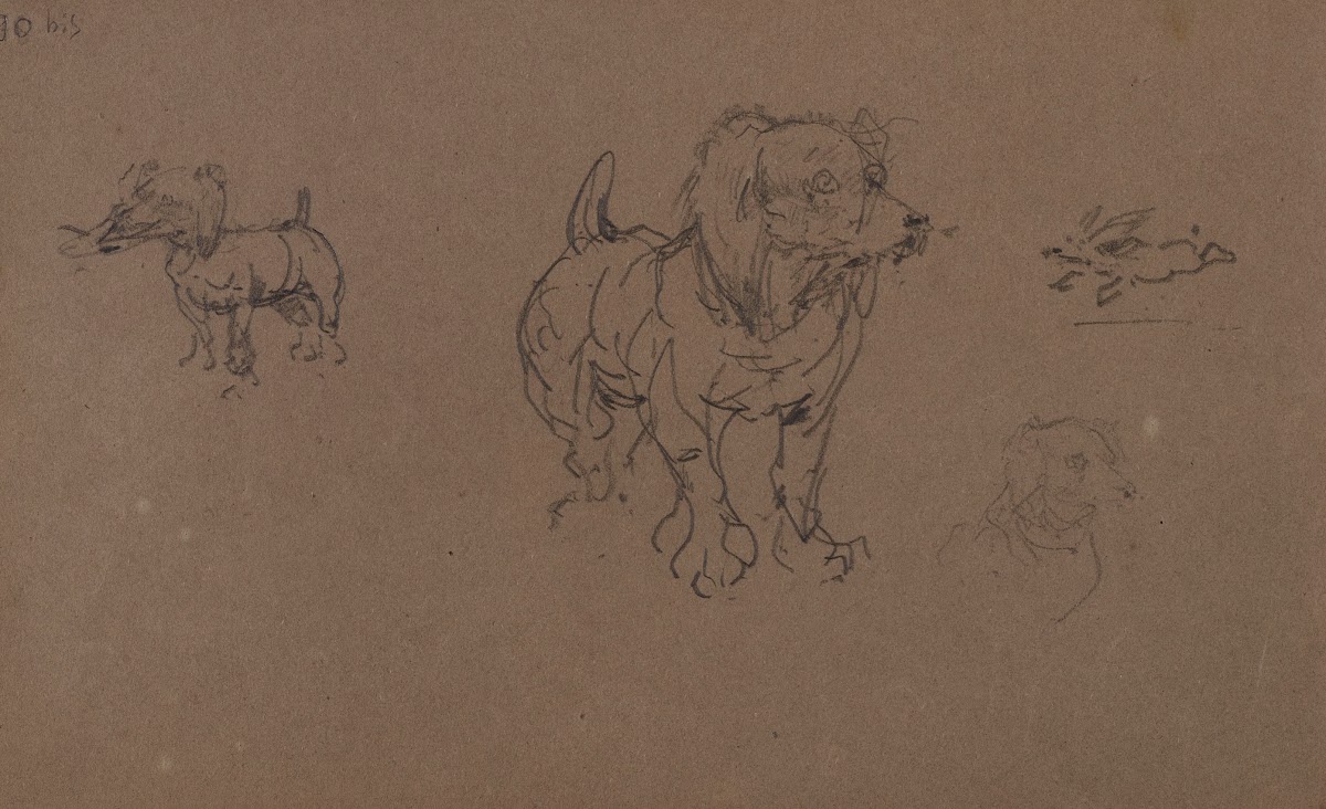 Études de chiens