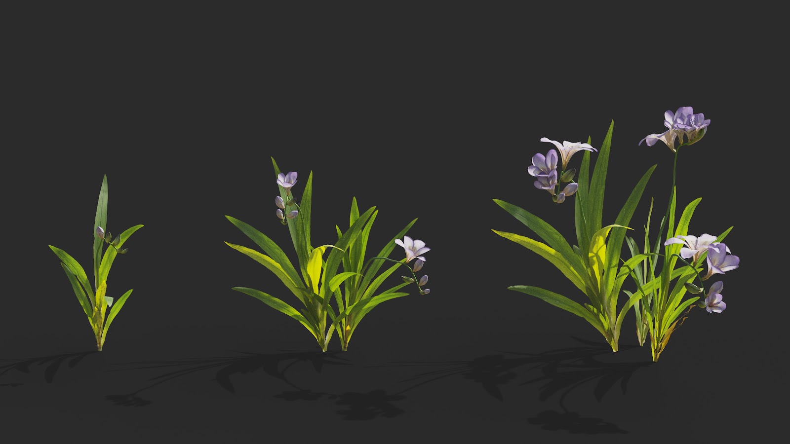 Maxtree - Plant Models Vol.64