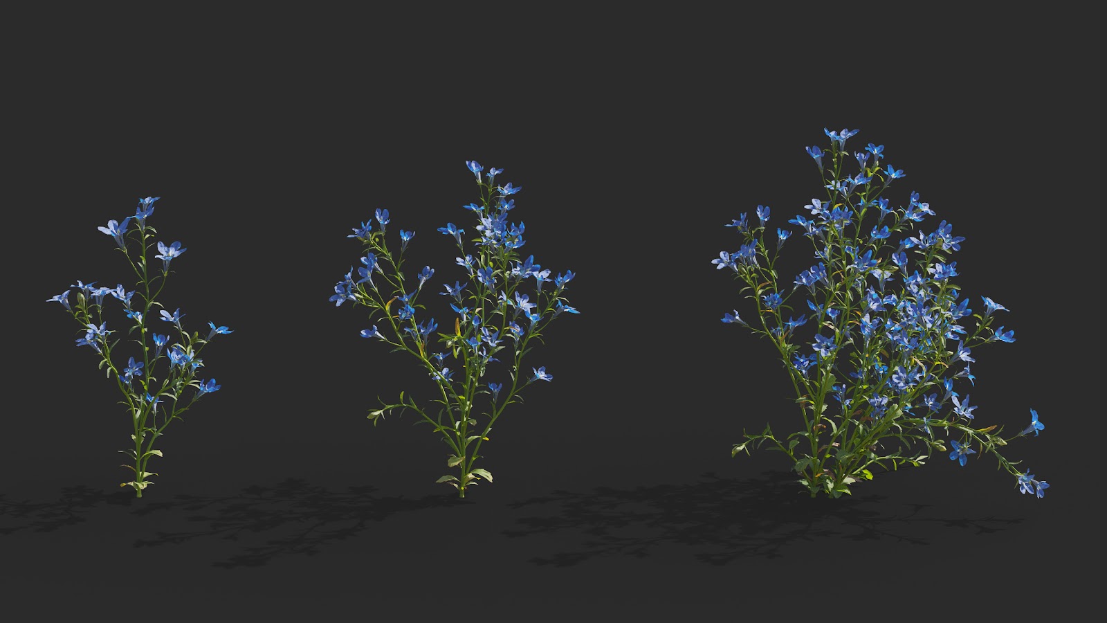 Maxtree - Plant Models Vol.64