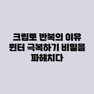 크립토 윈터, 반복되는 크립토 윈터, 암호화폐 시장, 크립토 투자 전략, 암호화폐 변동성