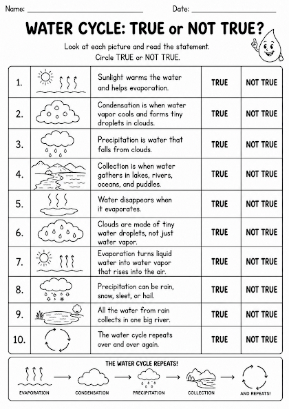 Water Cycle True or Not?