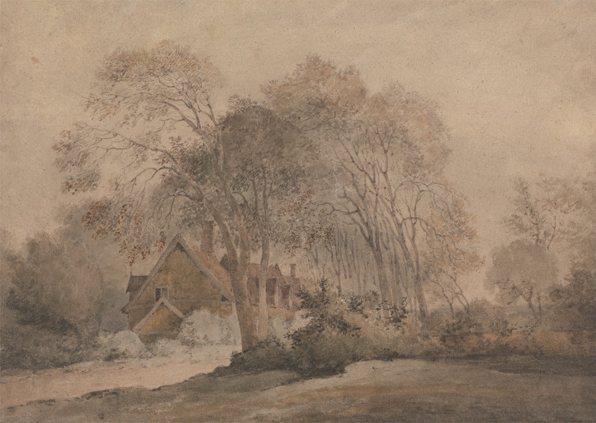 A House Among Trees