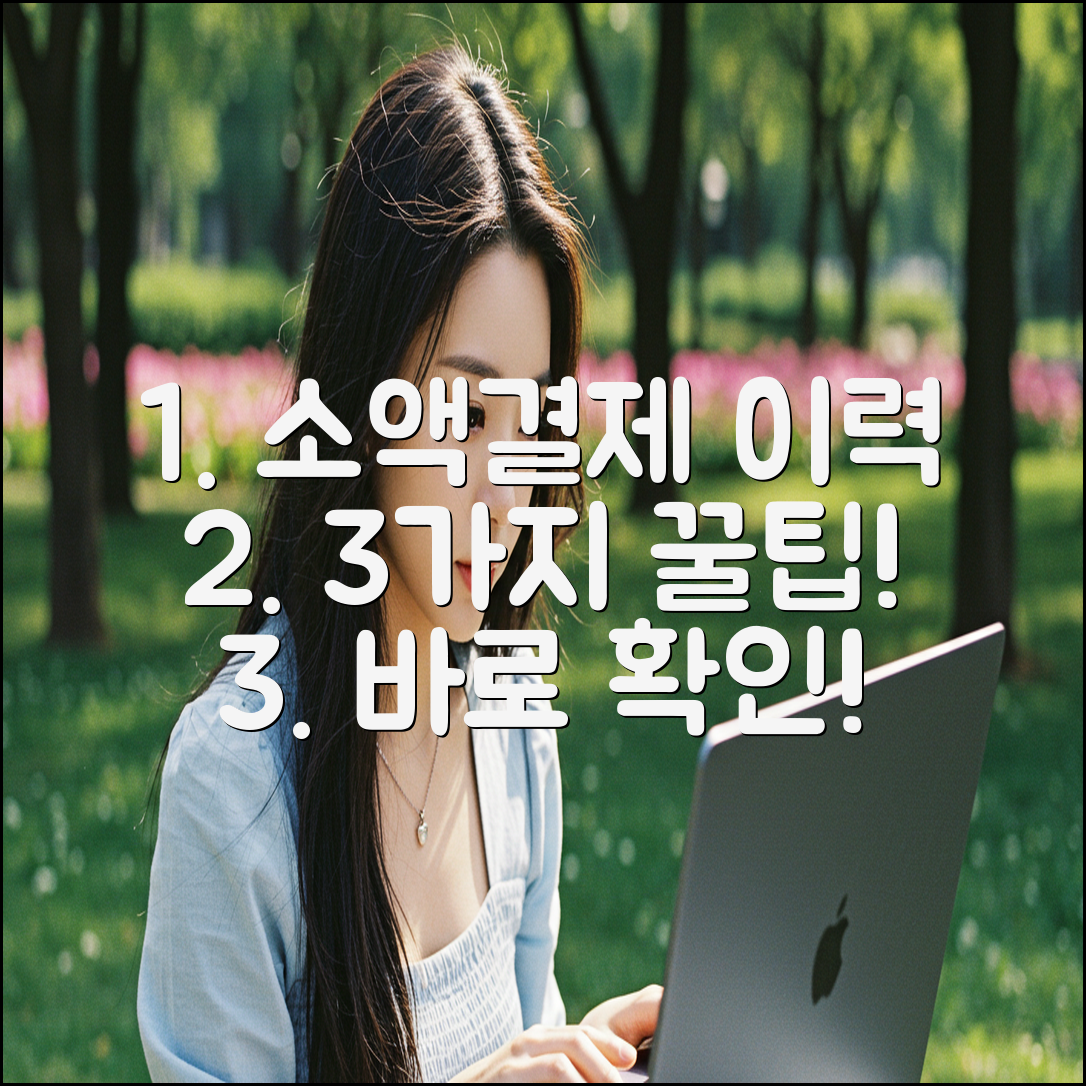 휴대폰 소액결제 이력, 3가지 꿀팁으로 바로 확인!