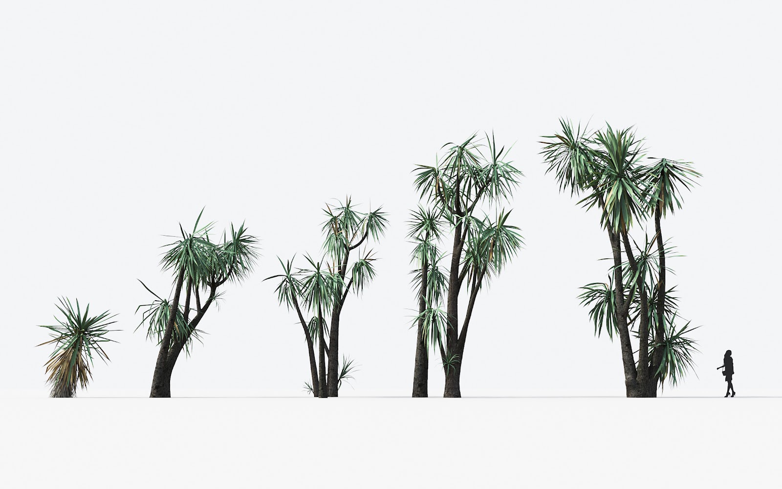 Maxtree - Plant Models Vol.17