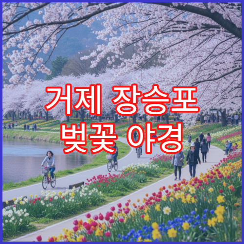 거제 장승포 벚꽃 야경 드론 촬영 해안 절벽 구역과 주의사항