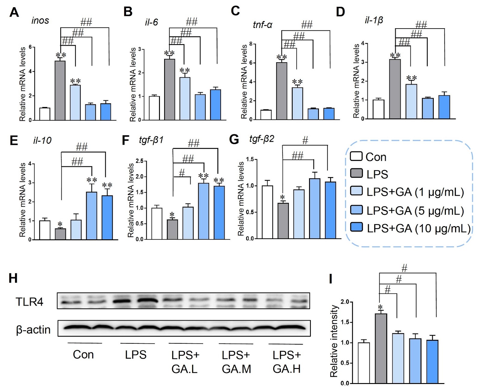 Gallic acid attenuates LPS-induced inflammation in Caco-2 cells by suppressing the activation of the NF-κB/MAPK signaling pathway