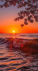 Sakura Branch Ocean Sunset Wave Orange Sky
