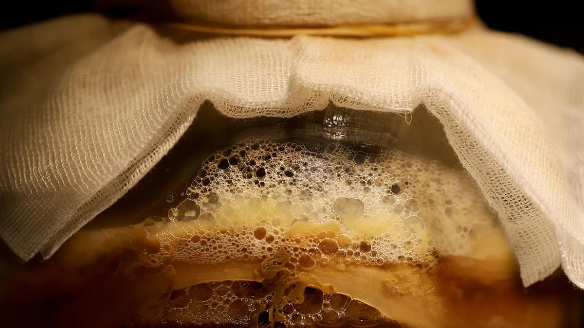 발효 식품이 장 건강에 좋은 과학적 근거와 섭취 팁