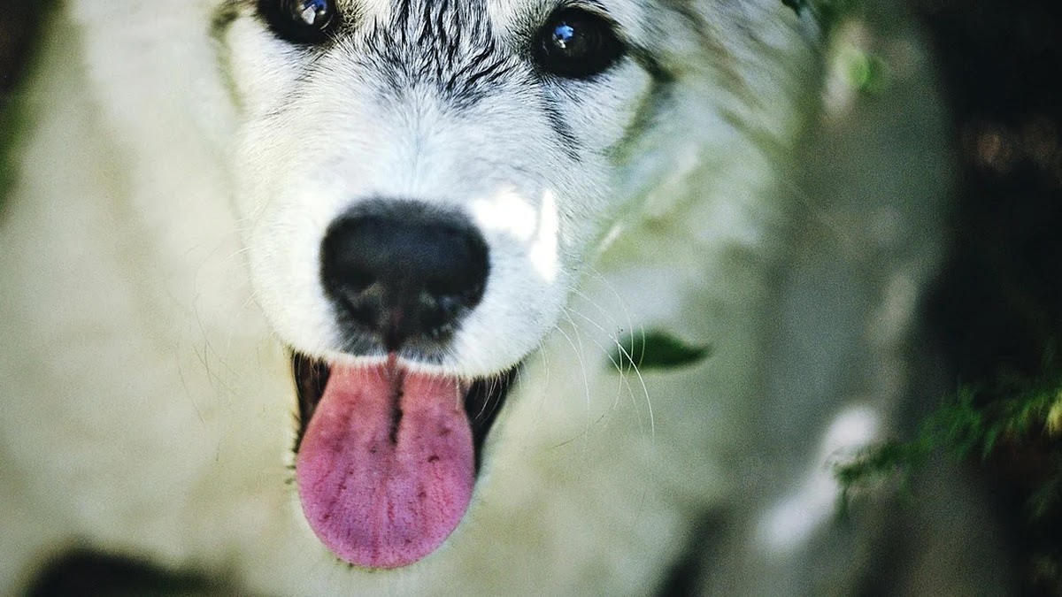 스마트폰 저장 공간 부족 문제 해결하는 방법과 설정