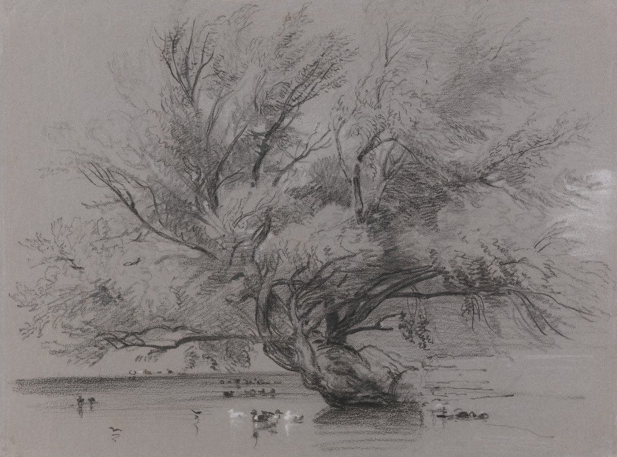 Pond with Willow Tree and Ducks