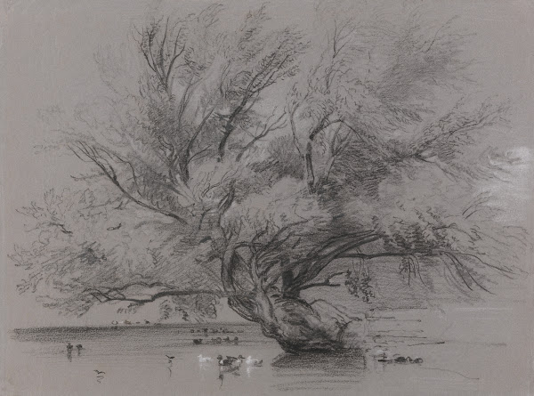 Pond with Willow Tree and Ducks